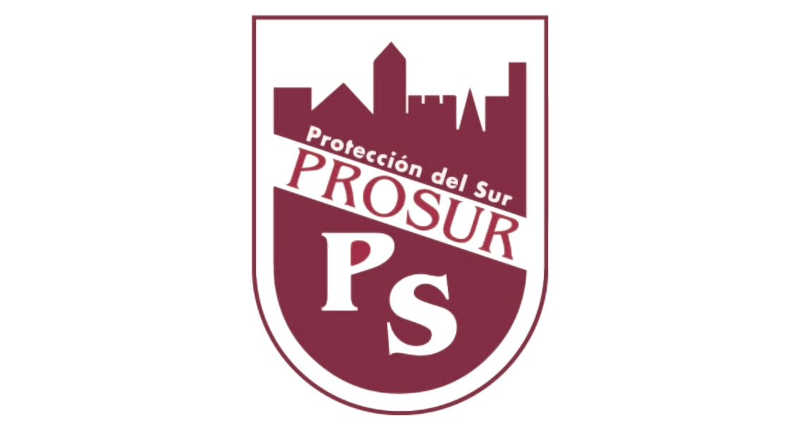 Protección del Sur website preview